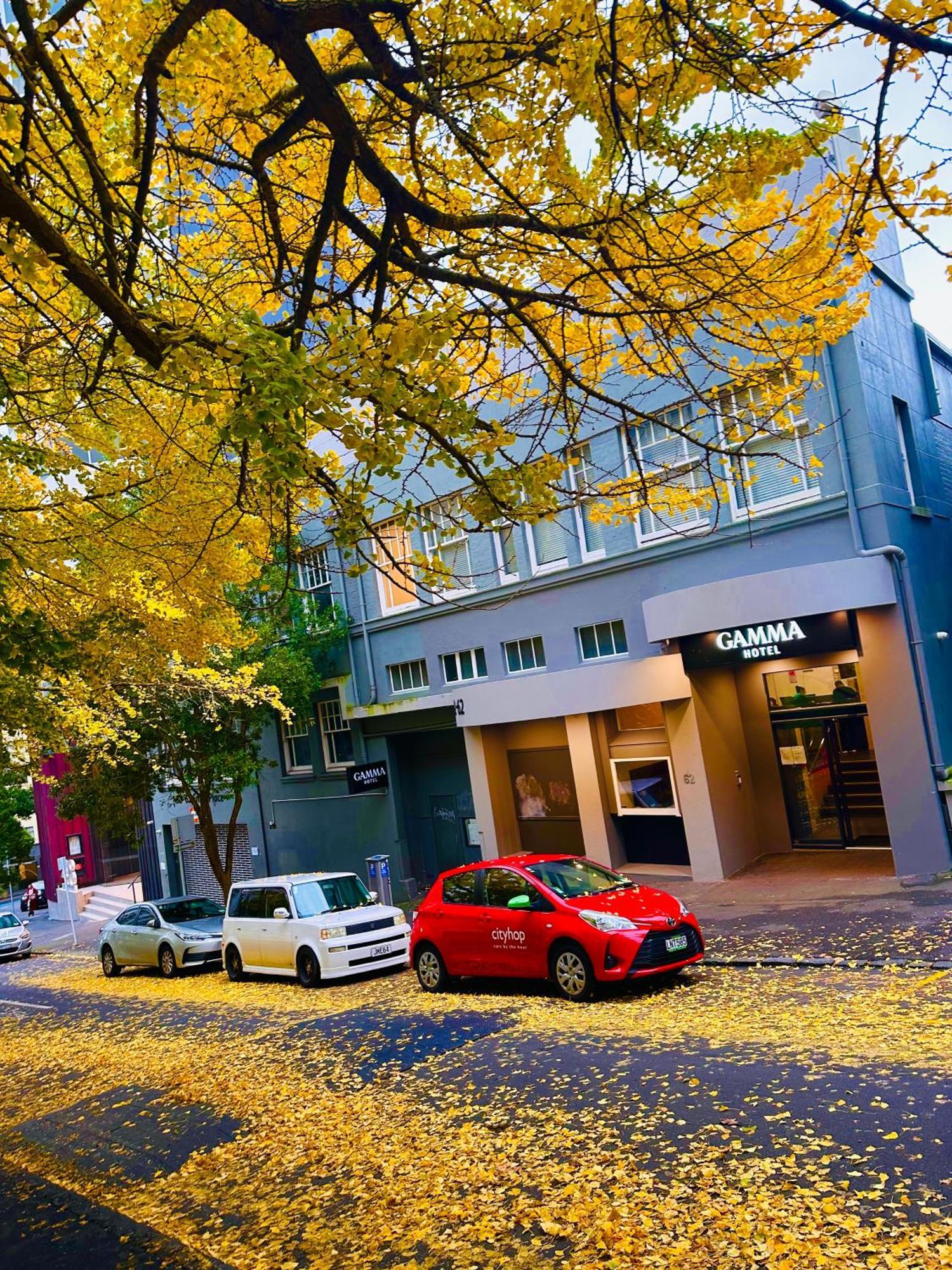 Gamma Hotel Окленд Экстерьер фото